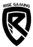 Logo for Rise Gaming